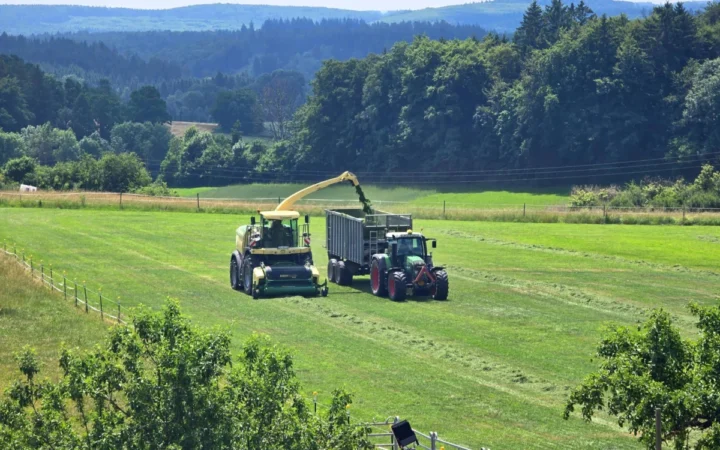 De ce trăiesc peste 40 de centenari în Islanda: Factorii care explică longevitatea remarcabilă a islandezilor