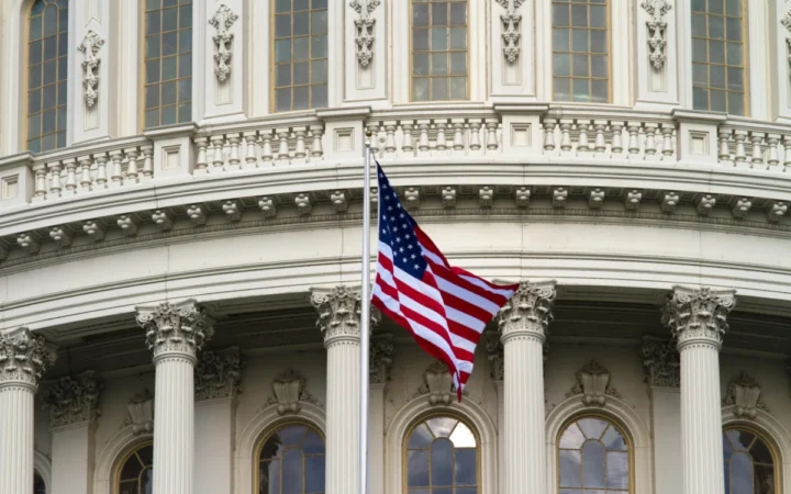 Noul val politic: Schimbare reală sau doar o reîntoarcere la influența pro-Trump?