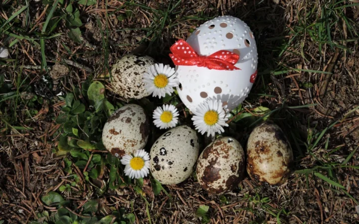 7 Idei Creative de Decorat Ouăle de Paște cu Ce Ai în Casă – Distracție Garantată pentru Copii
