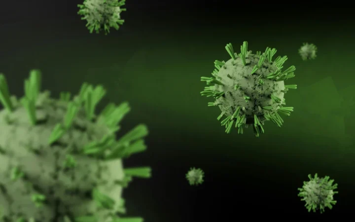 Hantavirus pe un vas de croazieră: Criză reală sau un exercițiu global de putere?