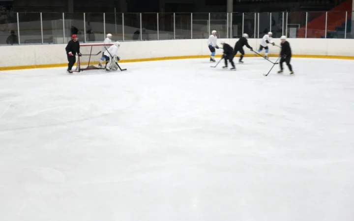 Skellefteå AIK câștigă al cincilea titlu național la hochei după o finală spectaculoasă cu Rögle BK, scor 7-3