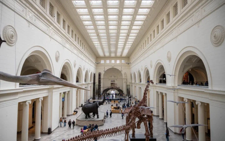 Dinozaur de lux: schelet de Tyrannosaurus rex vândut la preț record de peste 50 milioane de dolari!