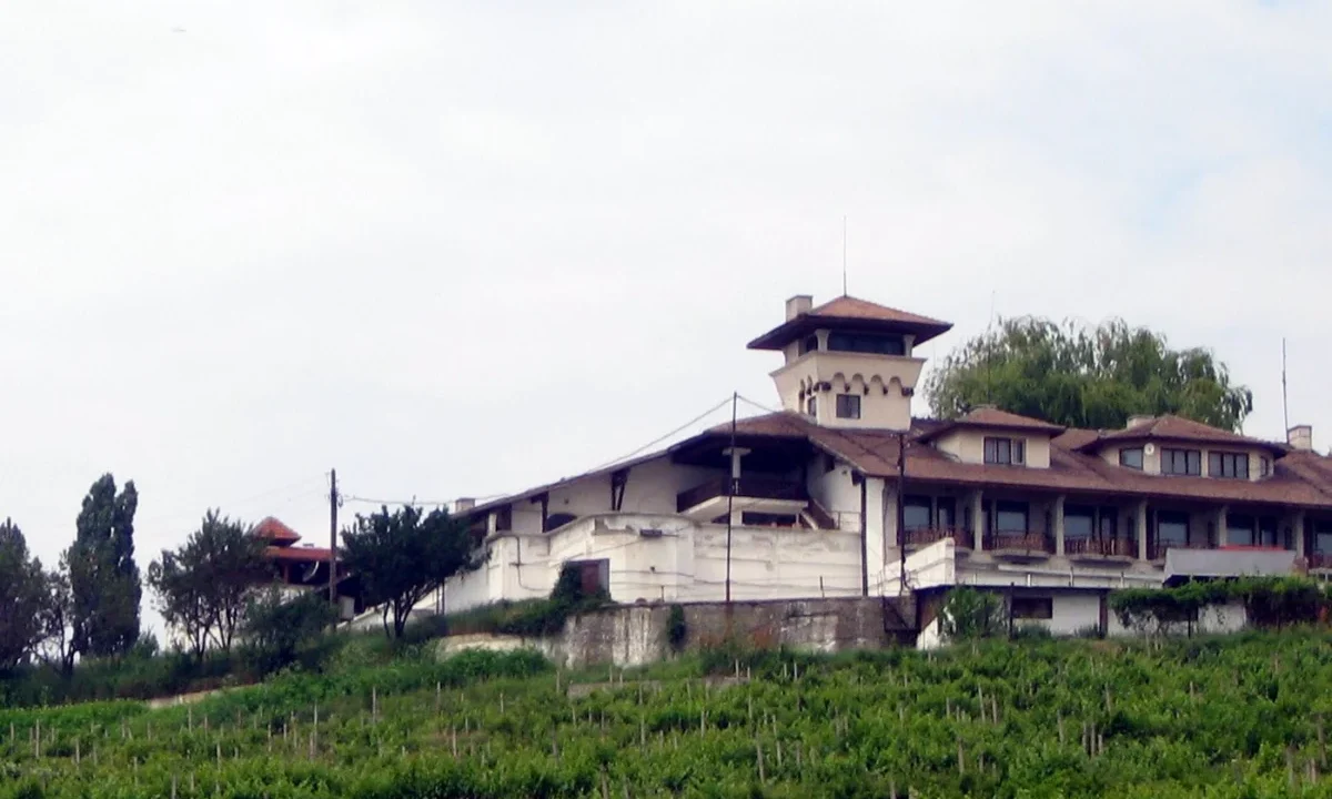 Schimbarea gusturilor consumatorilor transformă piața vinului din România