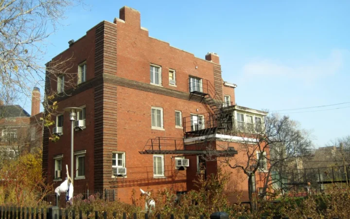Test ADN pentru câini confundă probele umane, declanșând alerte în rândul specialiștilor