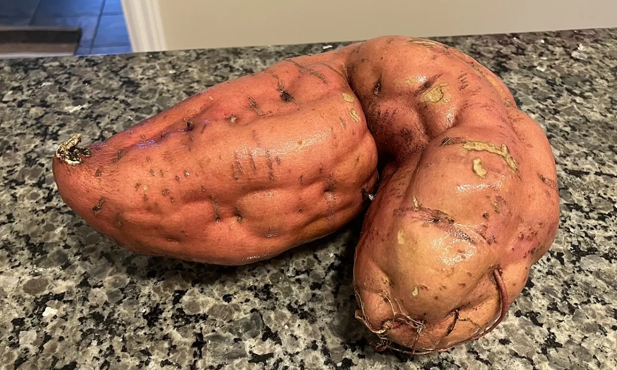 Carotenoizii din alimentație reduc cu până la 75% riscul de cancer la sân, arată un studiu
